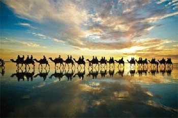 Sunset camel rides on ca broome beach in the dry season   |   Photo: Broome Tourism