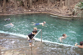 Mataranka Thermal Hot Springs | Credits Dianne Sng