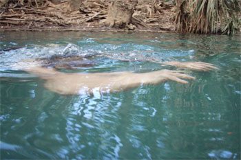Mataranka Thermal Hot Springs | Credits Dianne Sng