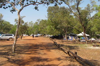 Douglas river esplanade camping| Credits  Parks Australia