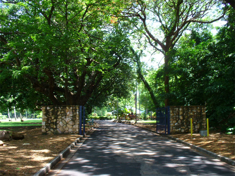 Location Darwin Botantical Gardens