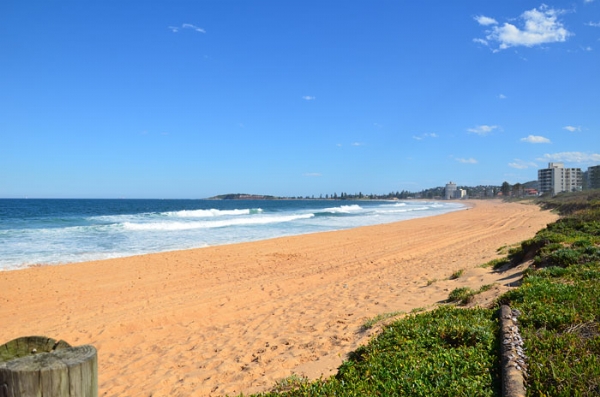 Narrabeen Beach Manly Northern Beaches Sydney Australia | Credits Manly .com