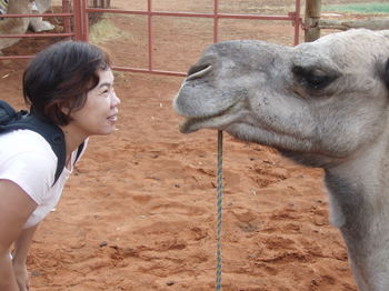 Camel farm trip | Credits Dianne and her two sons from Singapore