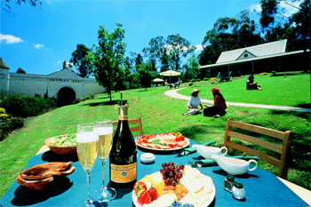 Yarra Valley grape grazing at Domaine Chandon | Credits VICTC-3900
